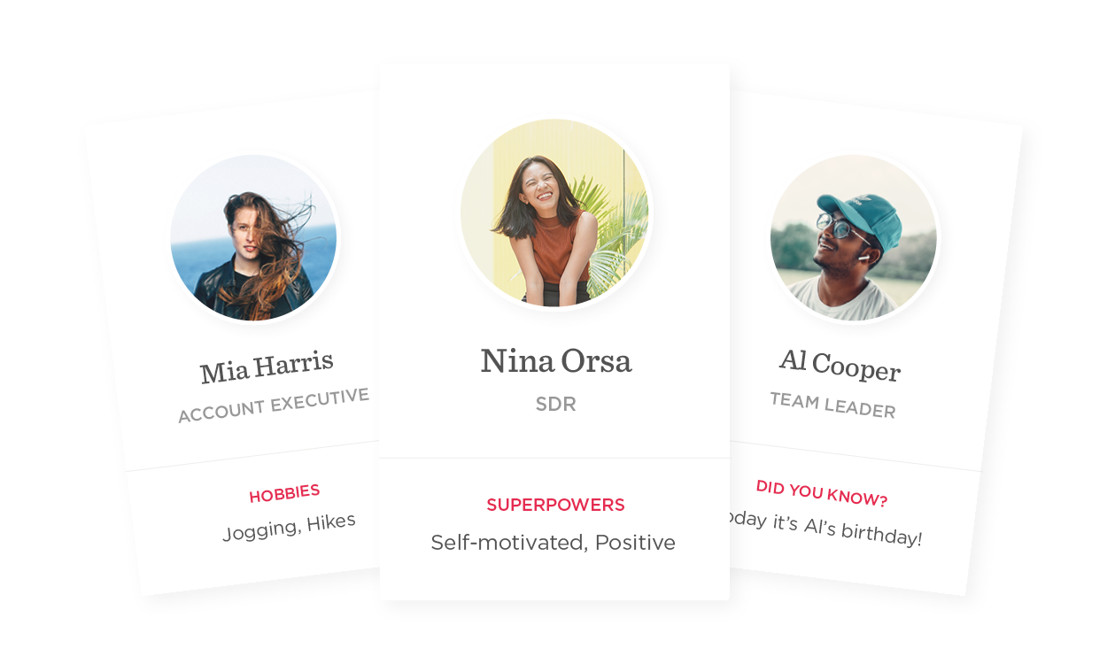 professional profiles, creative team members