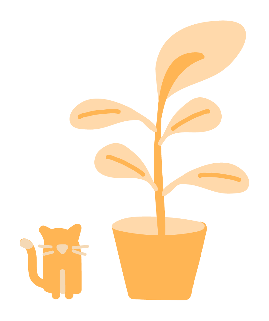 cat, plant