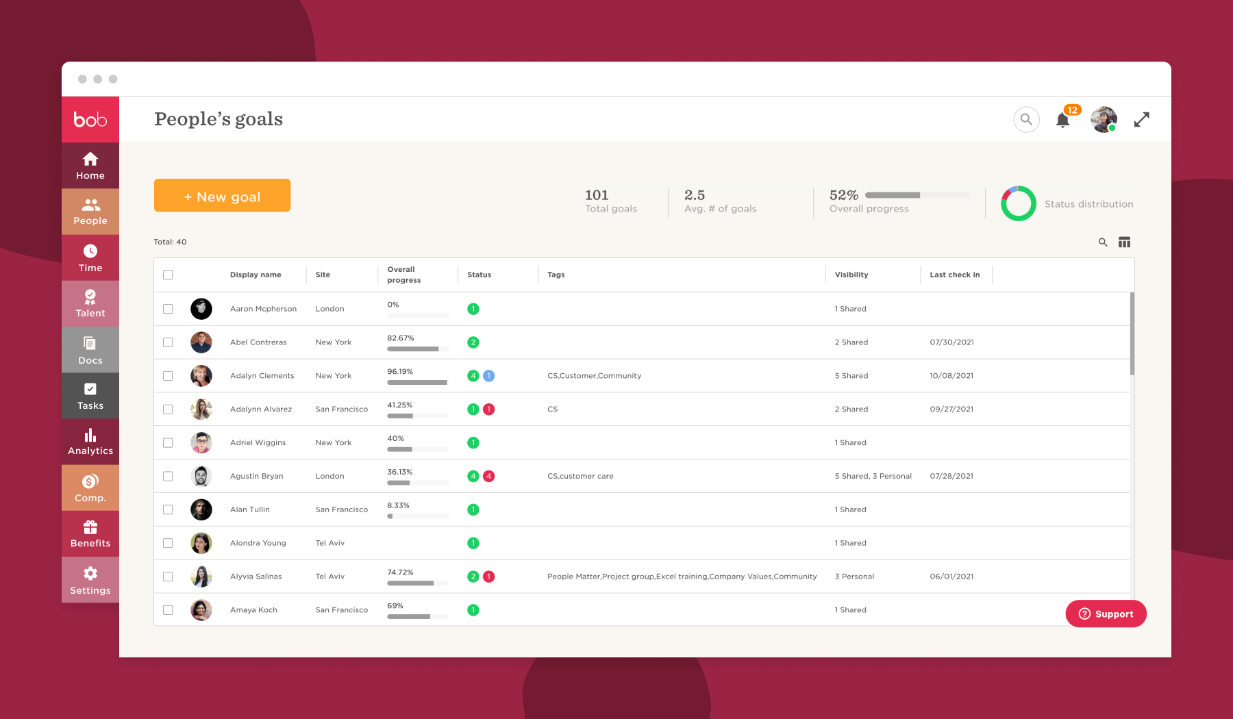 people's goals dashboard, overall progress and status of team members with tags and visibility details
