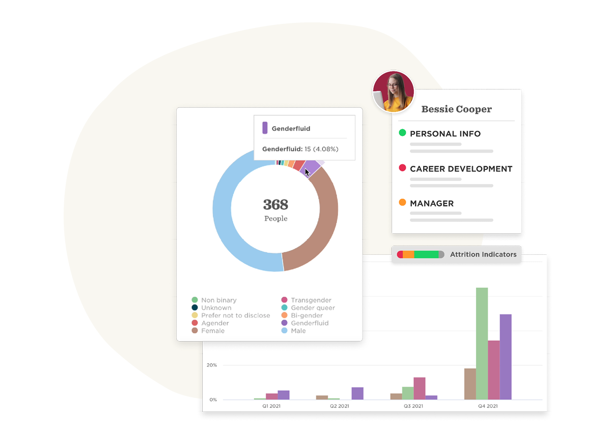 gender diversity chart statistics, career indicator summary and personal info overview