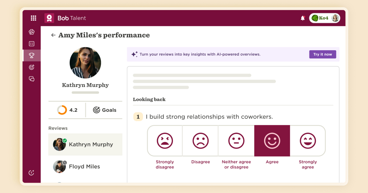 Imagery of how to measure performance using HiBob