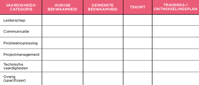 vaardigheidsmatrix, ontwikkelingstools