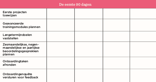 de-eerste-90-dagen, projectplanning-table