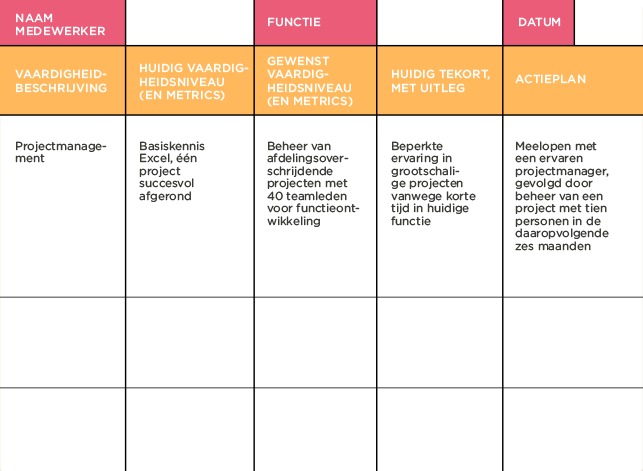 projectmanagement, vaardigheidsoverzicht, actieplan