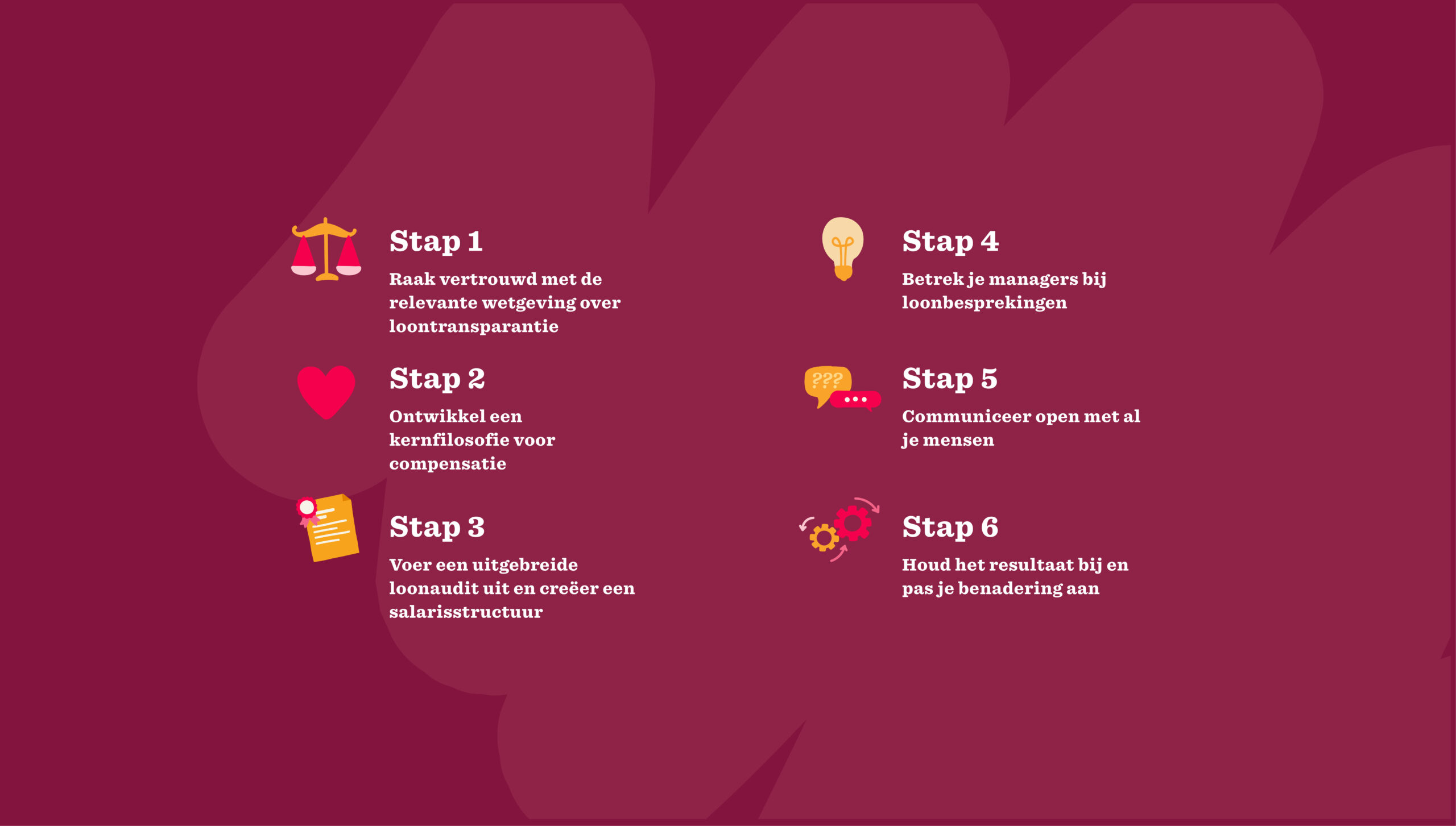 stappenplan, loontransparantie, visuele-structuur