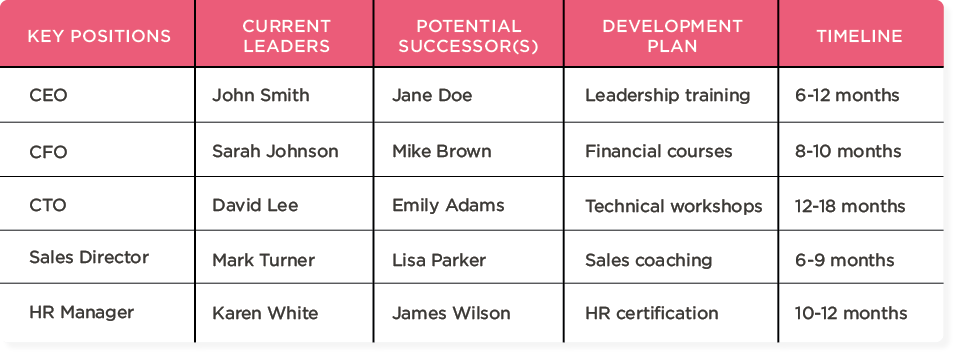 key-positions, current-leaders, potential-successors, development-plan, timeline