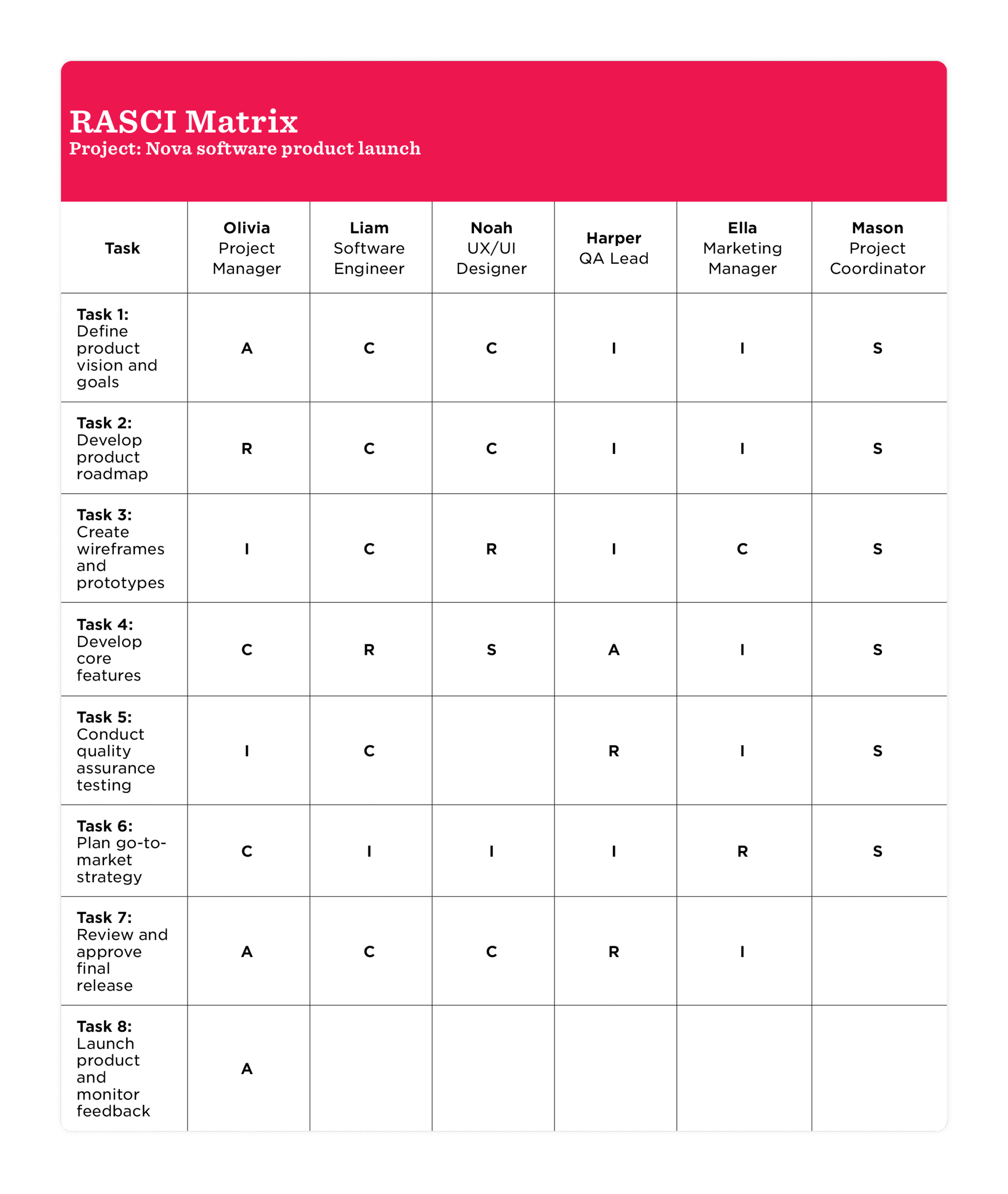 Example of a RASCI matrix