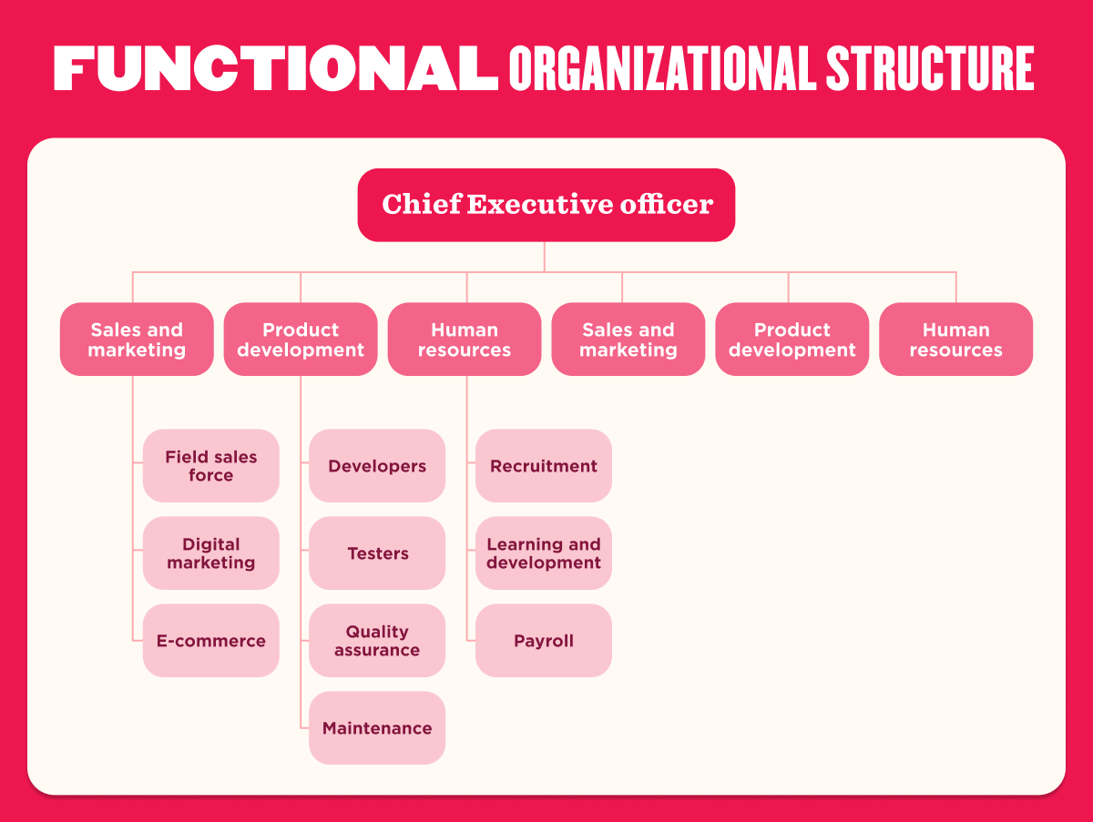 Functional organizational structure diagram showing a Chief Executive Officer at the top, with departments below including Sales and Marketing, Product Development, and Human Resources. Sub-teams include field sales force, digital marketing, e-commerce, developers, testers, quality assurance, maintenance, recruitment, learning and development, and payroll.